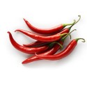 RED CHILI PEPPER
