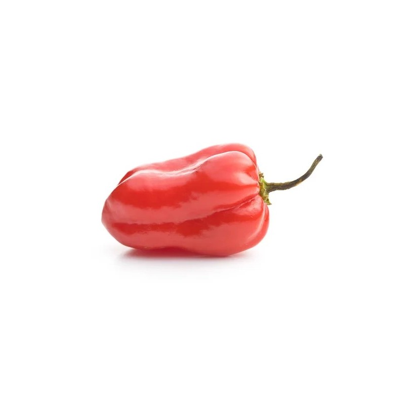 VENTA ONLINE Y MERCADILLOS PICANTE HABANERO
