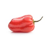 VENTA ONLINE Y MERCADILLOS PICANTE HABANERO
