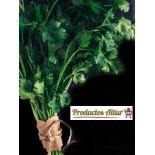 %shop-name%%product-name%%price%%brand%%category%