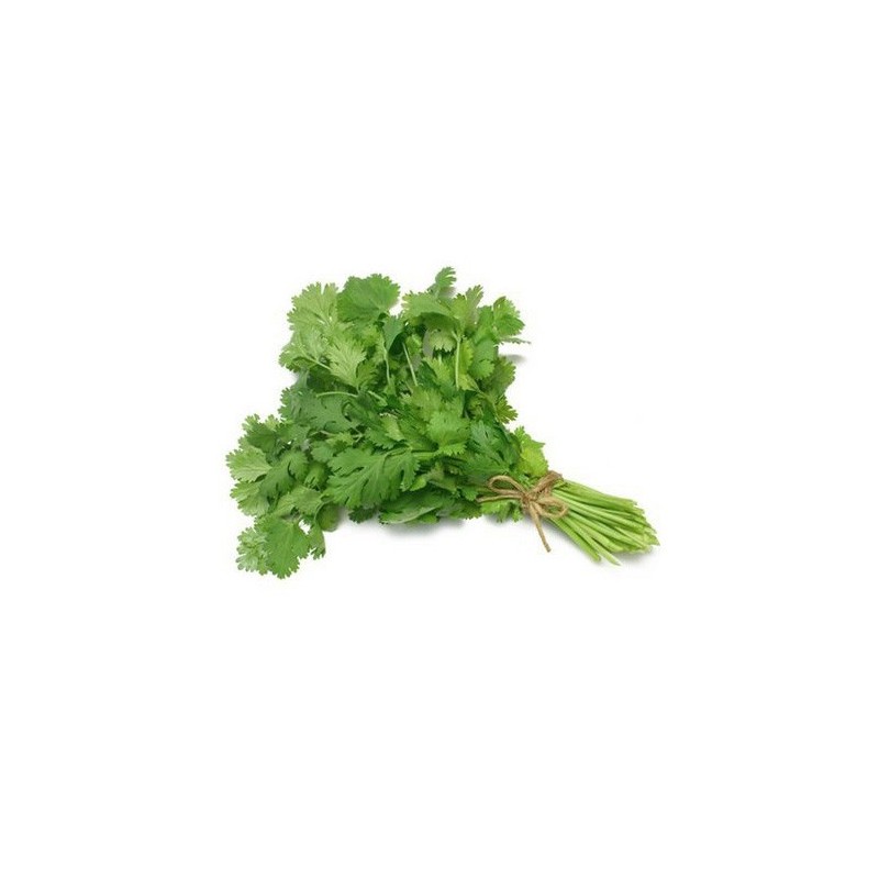 %shop-name%%product-name%%price%%brand%%category%