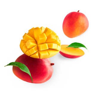 MANGO DE ESPAÑA