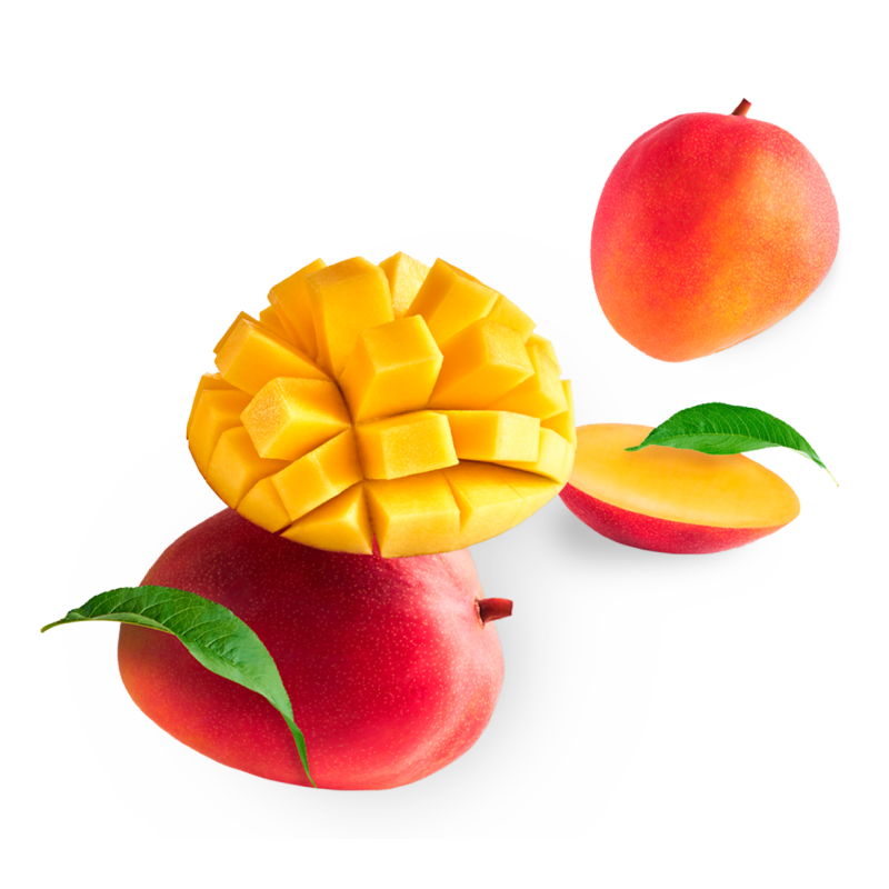 MANGO DE ESPAÑA