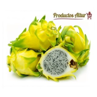 Pitaya with the quality and flavor of Spain