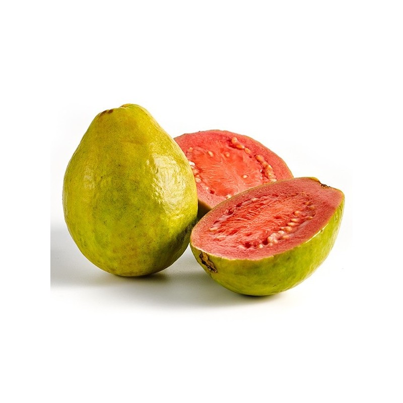GUAYABA