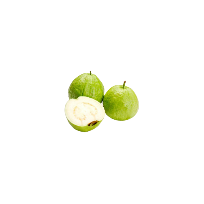 GUAYABA