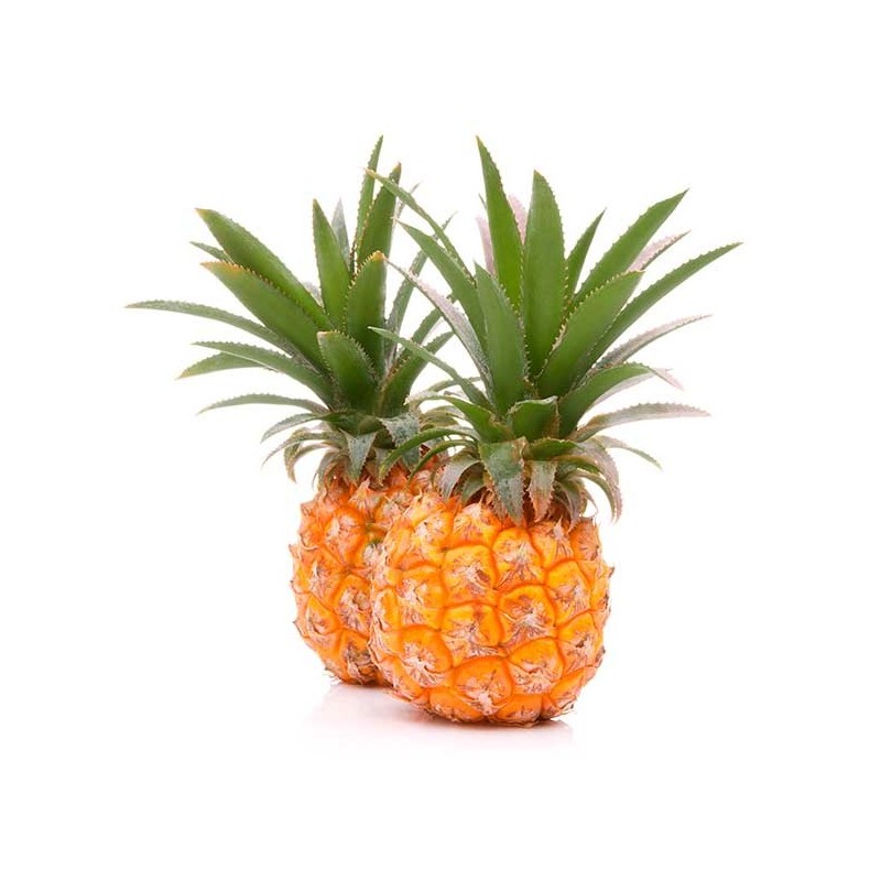 Venta de Piña Baby Fresca - Productos Altur