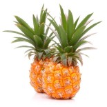 Venta de Piña Baby Fresca - Productos Altur