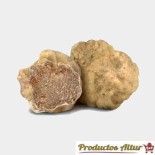 Compra Trufa Blanca (Tuber Magnatum) | Productos Altur