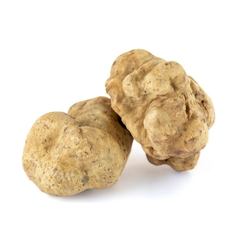 Compra Trufa Blanca (Tuber Magnatum) | Productos Altur