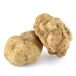 Compra Trufa Blanca (Tuber Magnatum) | Productos Altur