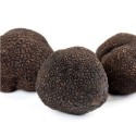 BLACK TRUFFLE FROM SPAIN
