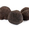 BLACK TRUFFLE FROM SPAIN