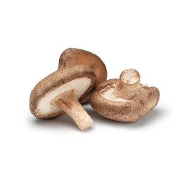 SHIITAKE