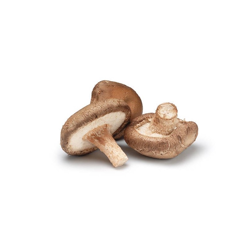 SHIITAKE
