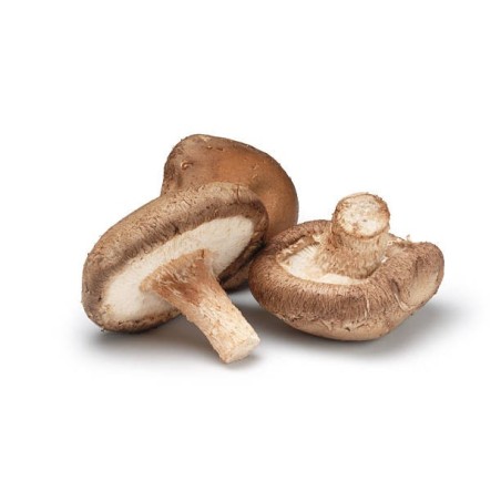 SHIITAKE