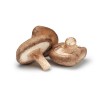 SHIITAKE