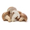 SHIITAKE