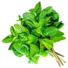 MINT IN BUNCHES