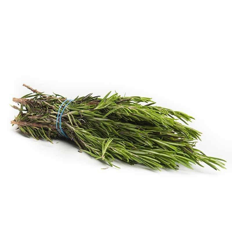 ROSEMARY IN BUNCHES