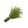 THYME IN BUNCHES