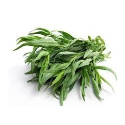 TARRAGON IN BUNCHES