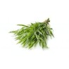 TARRAGON IN BUNCHES