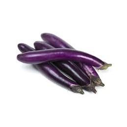 LONG OR CHINESE EGGPLANT
