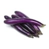 LONG OR CHINESE EGGPLANT