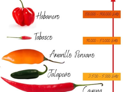 ANALISIS EN VARIEDADES DE PICANTES EN LA ESCALA SCOVILLE